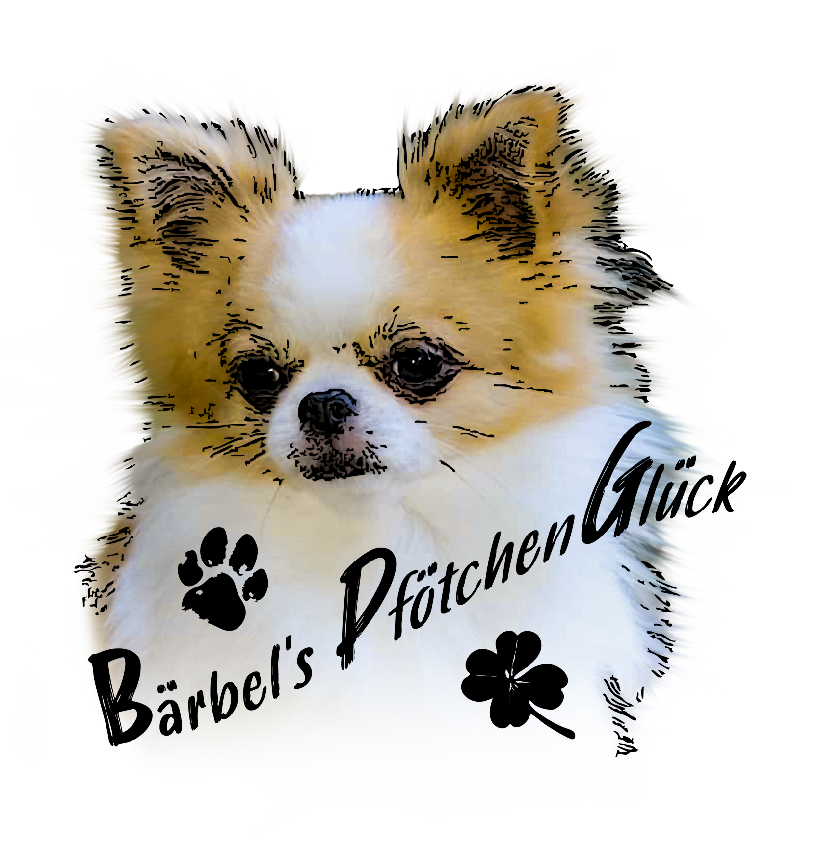 logo für webseit1 logo für webseit1